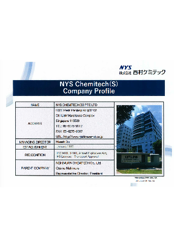 NYS Profile.pdf